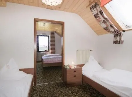 Heimisch 3* Geisfeld (Rhineland-Palatinate)