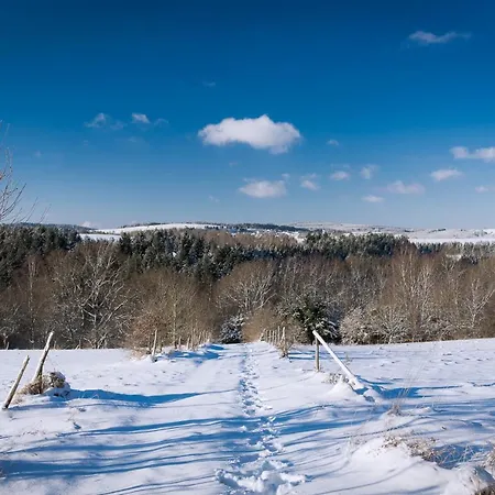 Heimisch Geisfeld (Rhineland-Palatinate)