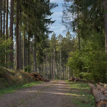 Vendégház Heimisch Geisfeld