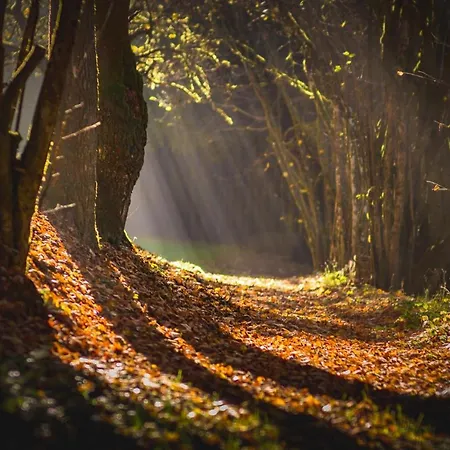 Heimisch 3* Geisfeld