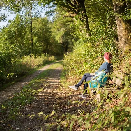 Heimisch Geisfeld (Rhineland-Palatinate)