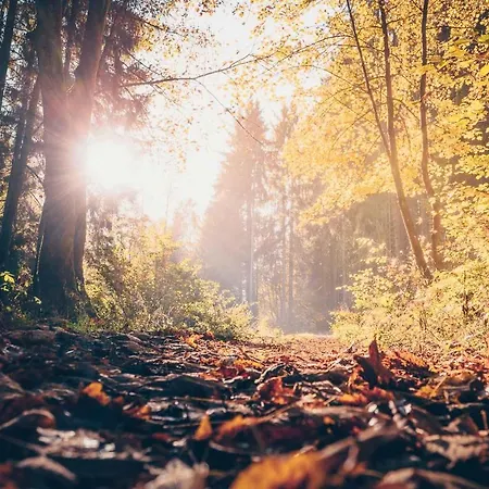 Vendégház Heimisch Geisfeld