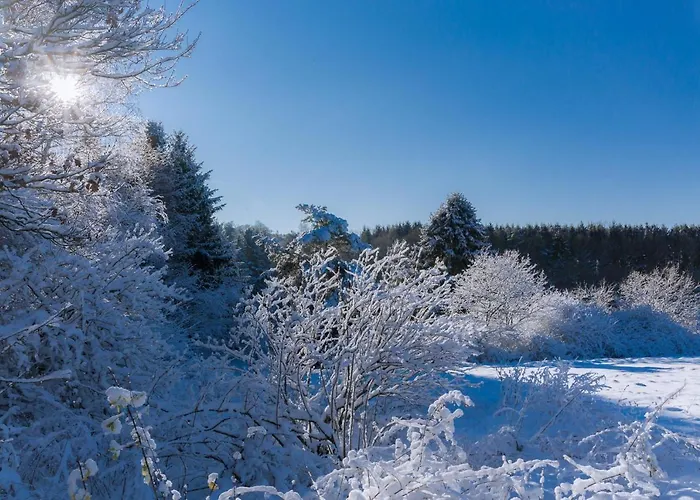 Гостевой дом Heimisch