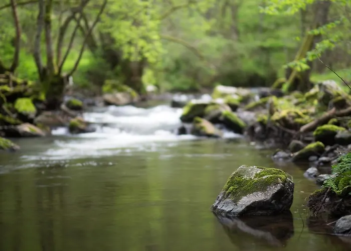 Heimisch Geisfeld (Rhineland-Palatinate)