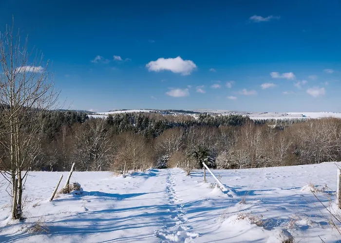 Heimisch Geisfeld (Rhineland-Palatinate)