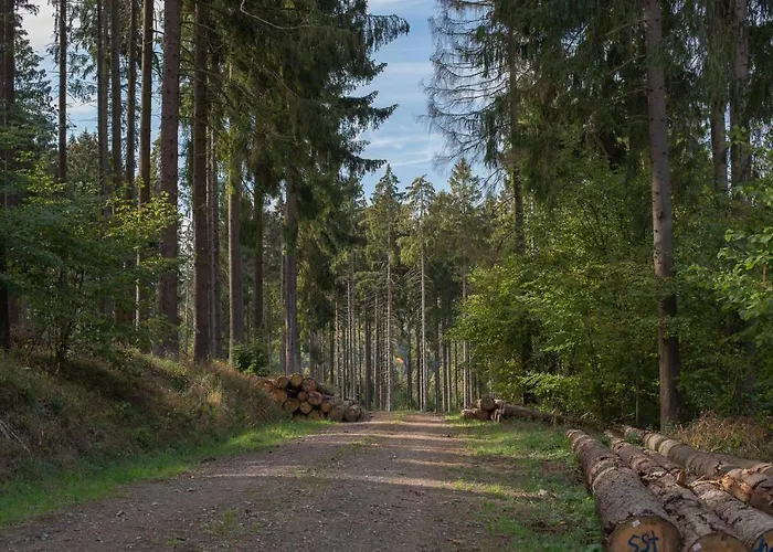 招待所 Heimisch Geisfeld (Rhineland-Palatinate)