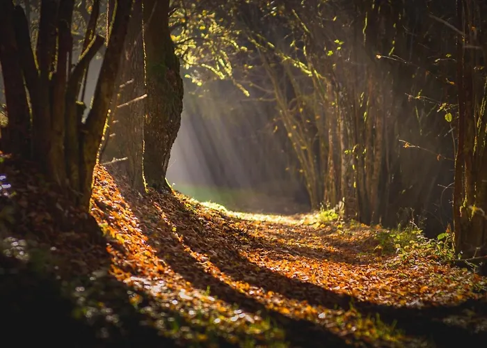 Heimisch 3* Geisfeld (Rhineland-Palatinate)