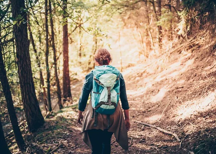 Heimisch 招待所 3*