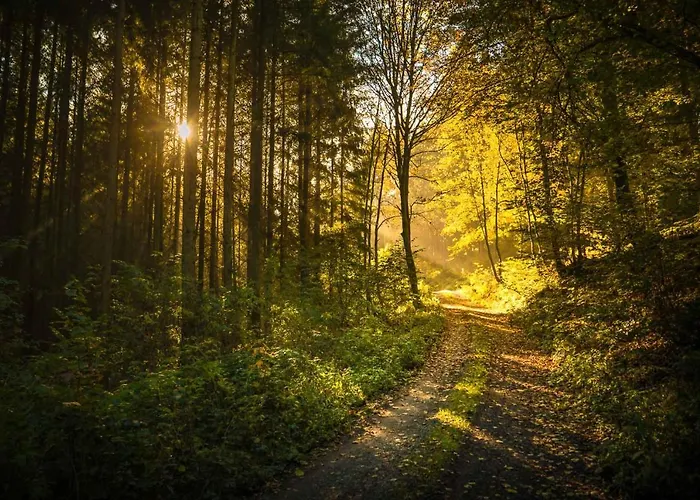 Heimisch Geisfeld (Rhineland-Palatinate)