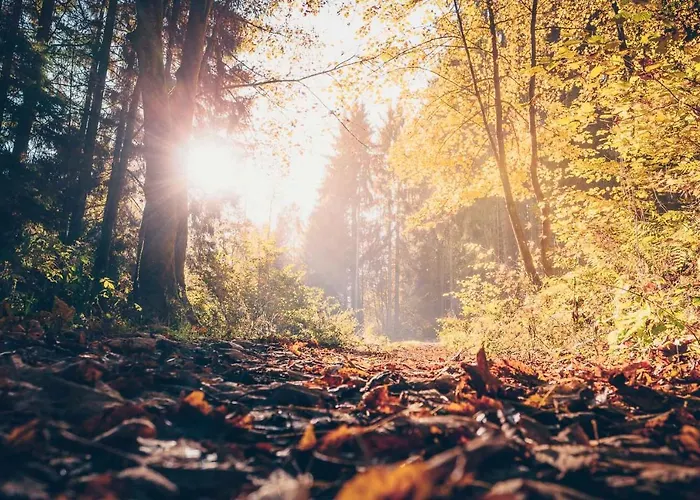 招待所 Heimisch Geisfeld (Rhineland-Palatinate)